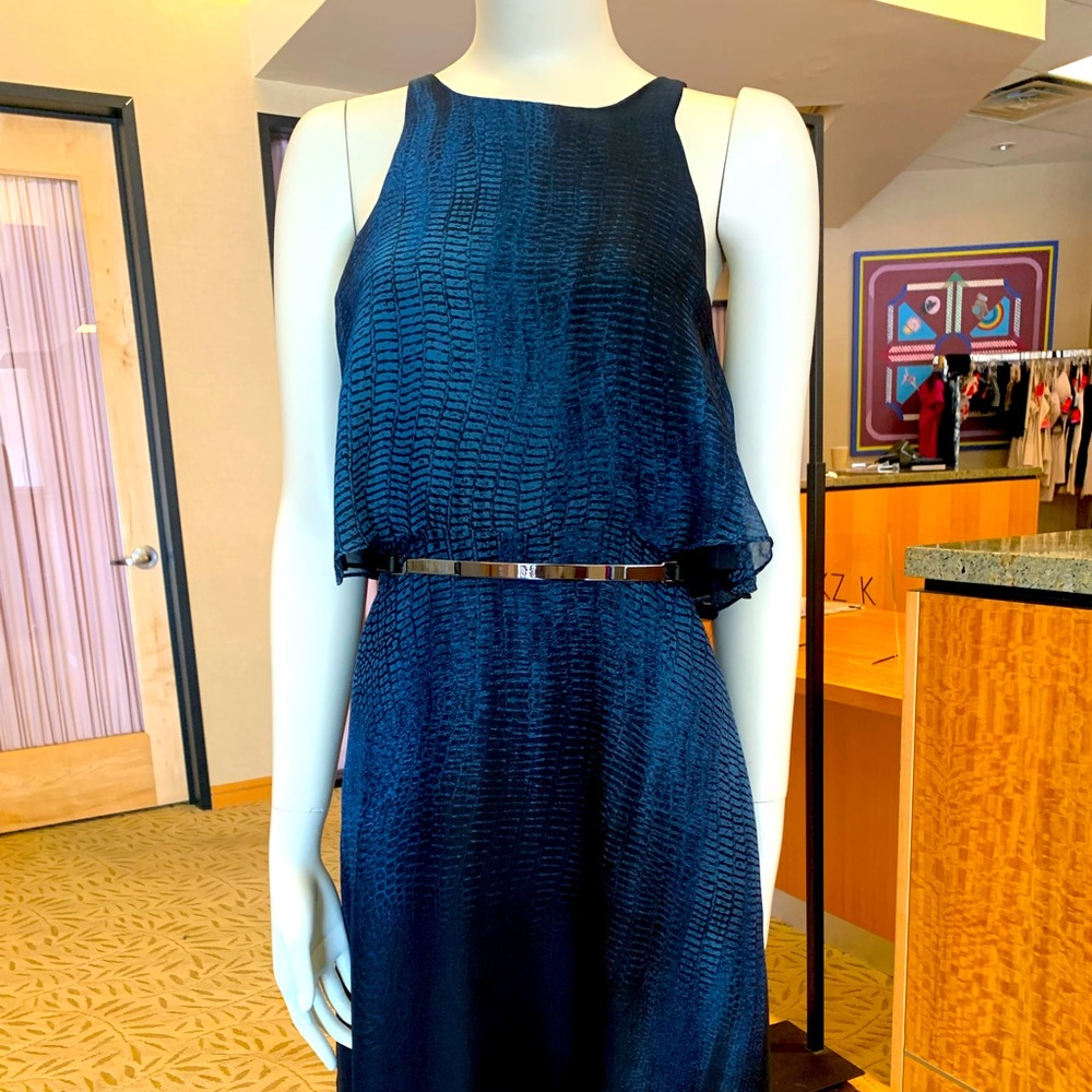 Halston Heritage hi low dress.